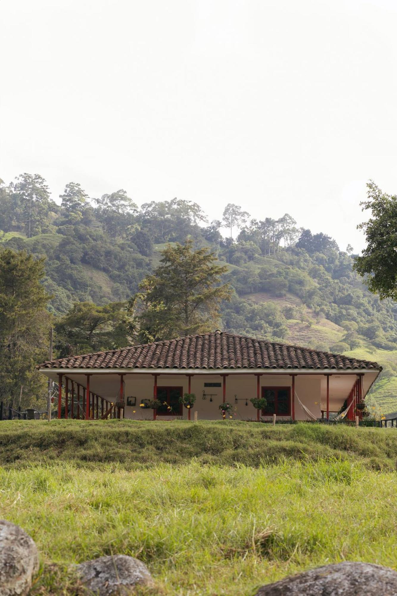 La Cabana Ecohotel - Valle Del Cocora Salento Exterior foto