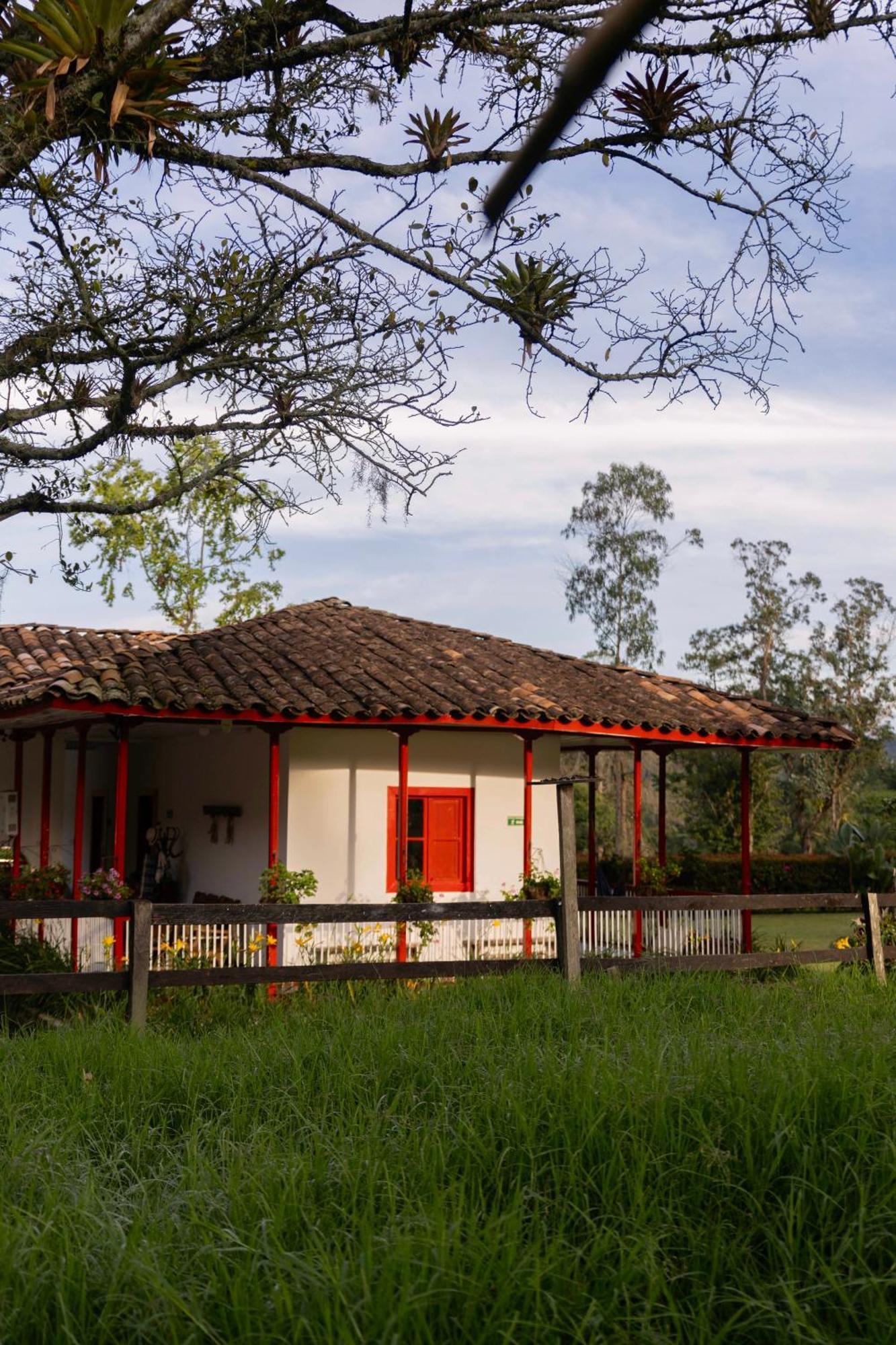La Cabana Ecohotel - Valle Del Cocora Salento Exterior foto