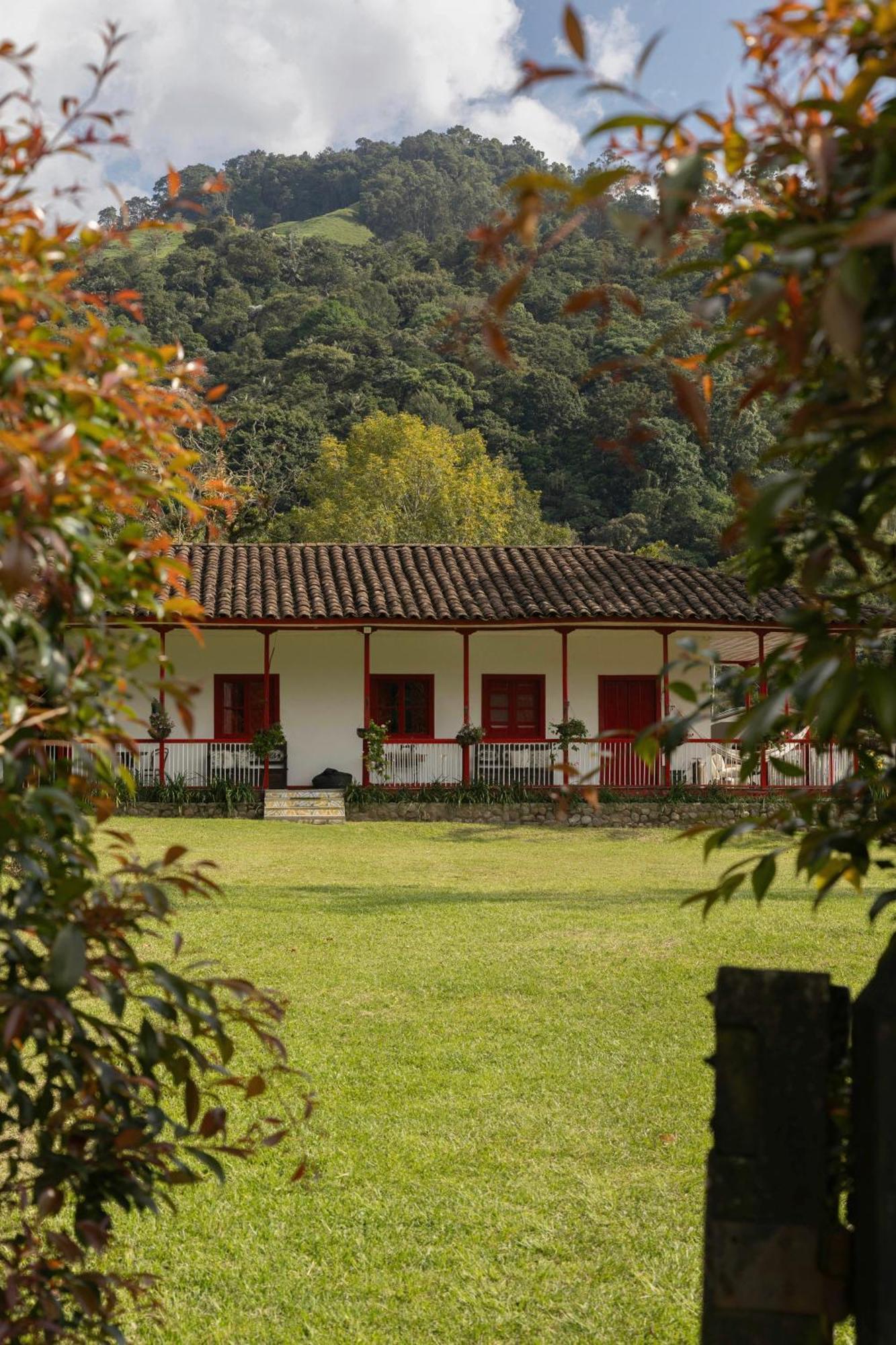 La Cabana Ecohotel - Valle Del Cocora Salento Exterior foto